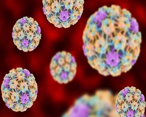 HPV