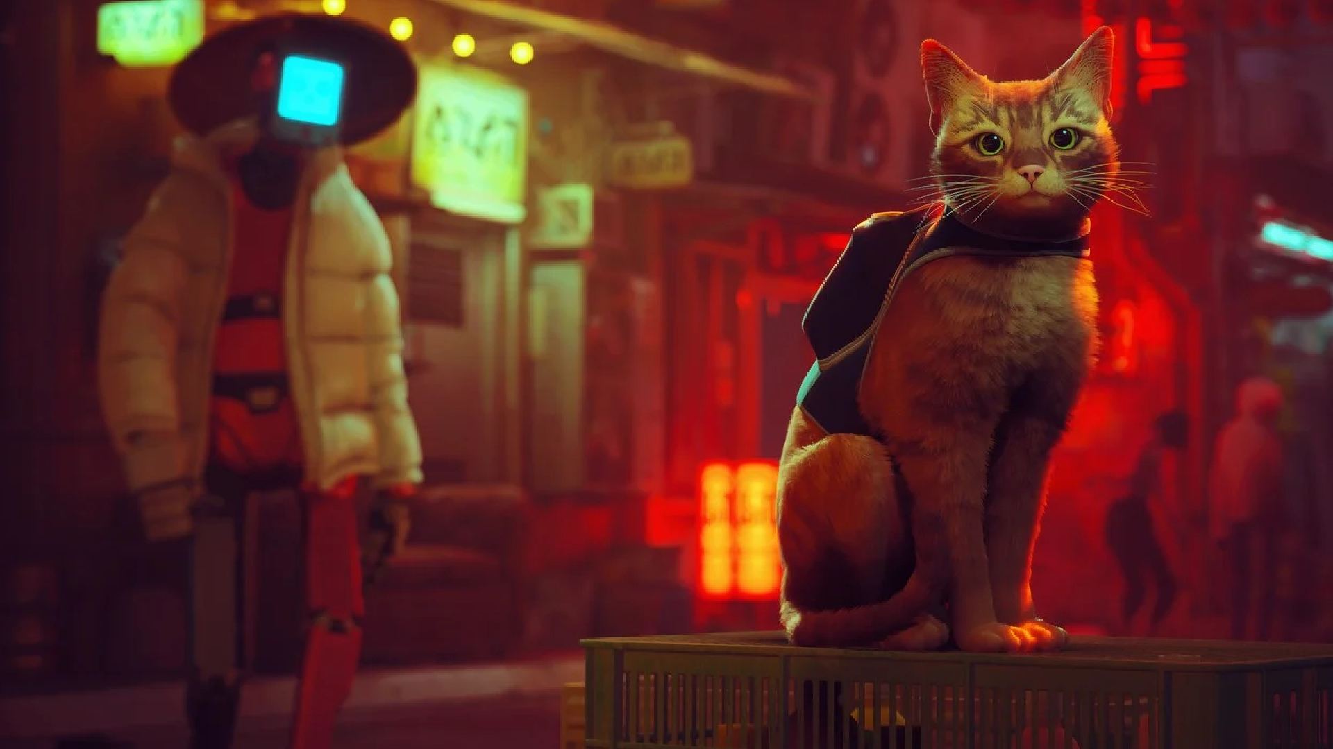 رکوردشکنی بازی Stray