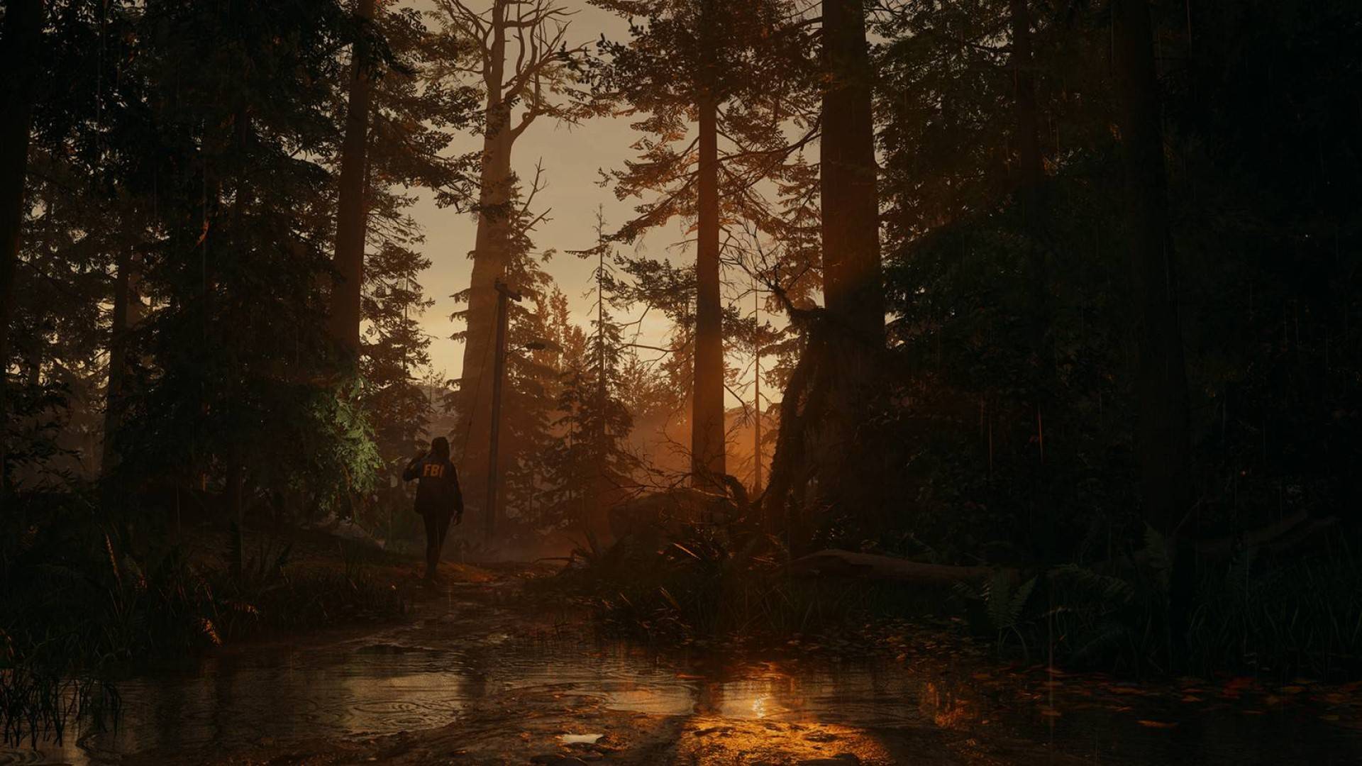 بازی Alan Wake 2